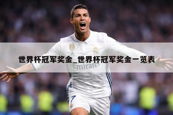 世界杯冠军奖金_世界杯冠军奖金一览表