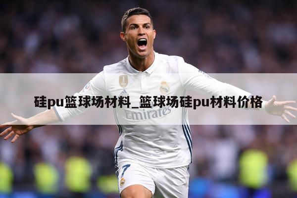 硅pu篮球场材料_篮球场硅pu材料价格