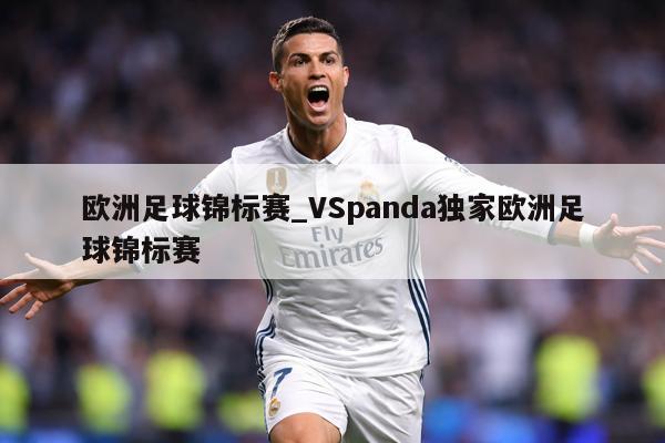 欧洲足球锦标赛_VSpanda独家欧洲足球锦标赛