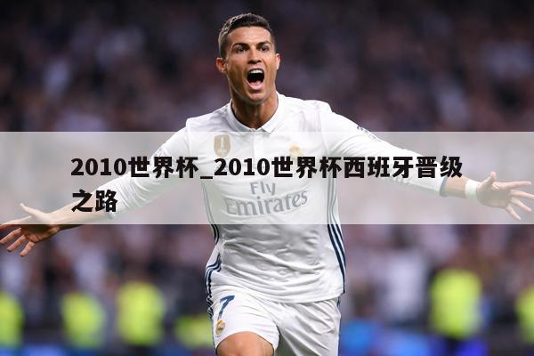 2010世界杯_2010世界杯西班牙晋级之路