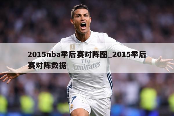 2015nba季后赛对阵图_2015季后赛对阵数据